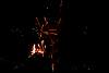 20060826_Fesztival266.jpg