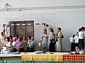 20080606_tanitokfaja 101