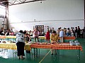 20080606_tanitokfaja 103