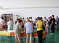 20080606_tanitokfaja 106