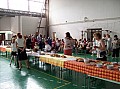 20080606_tanitokfaja 111