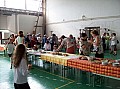 20080606_tanitokfaja 112