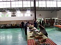 20080606_tanitokfaja 113