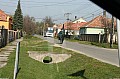 20081020_Tet_107