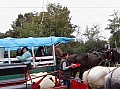 20091017_szuret_260