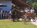 20100612_gyereknap_154