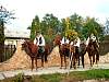 Szuret2003byKato109.jpg