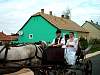 Szuret2003byKato23.jpg