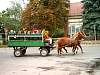 Szuret2003byKato4.jpg
