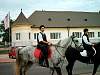 Szuret2003byKato90.jpg