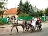 Szuret2003byKato99.jpg